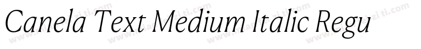 Canela Text Medium Italic RegularVe字体转换